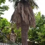 In Kallithea Apartament *
