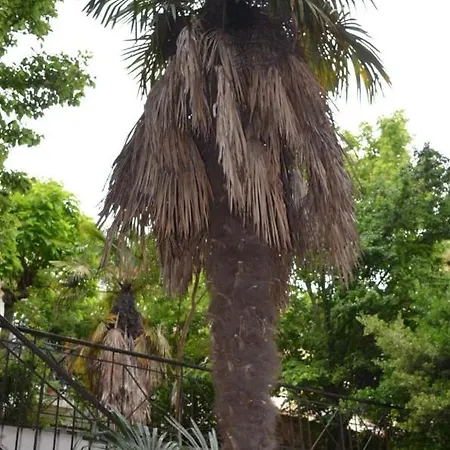 In Kallithea Daire *